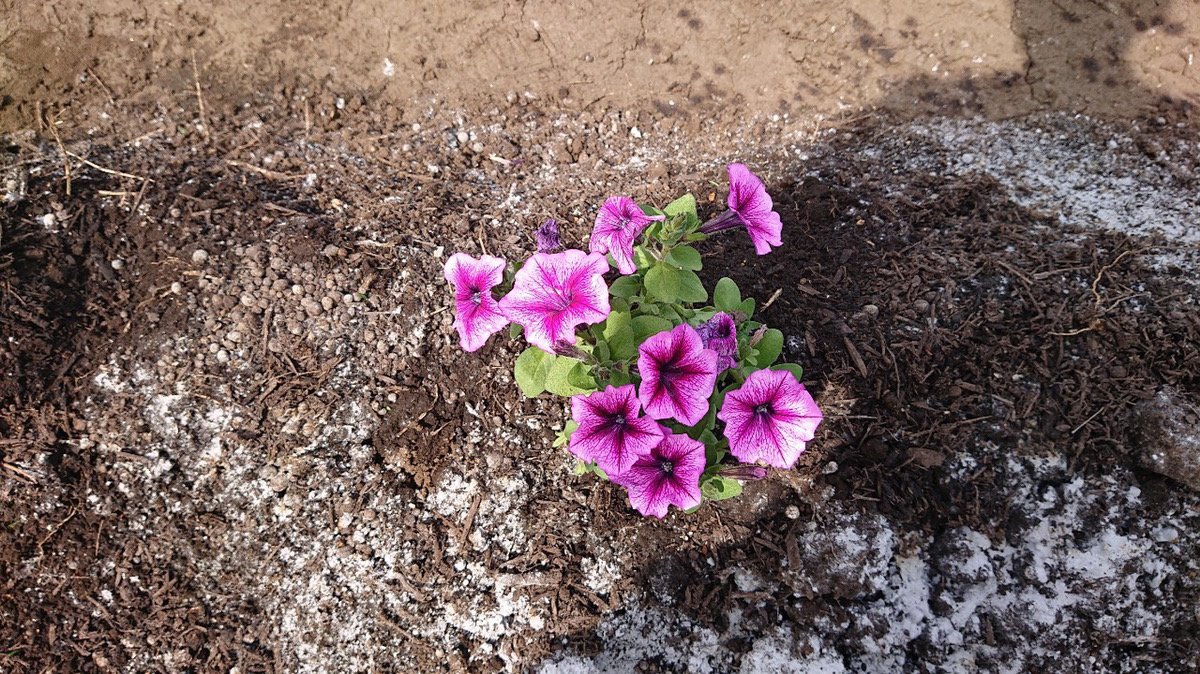 占い師リローズのお気に入り写真2